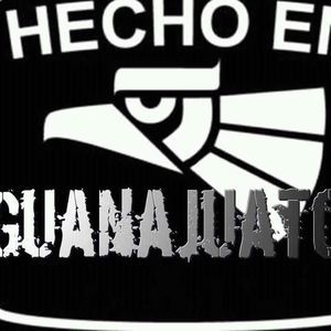 Meet your Posher, Cynthia